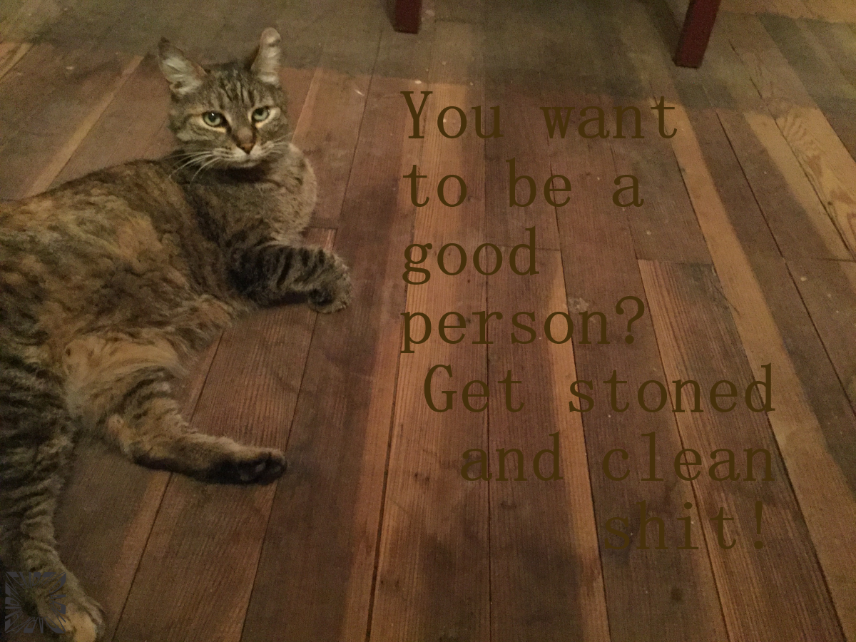 Get Stoned and Clean Shit