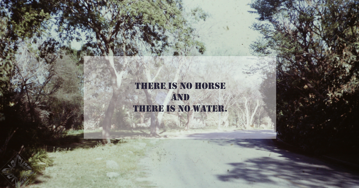 Lead A Horse To Water