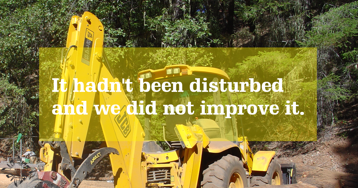 We Did Not Improve