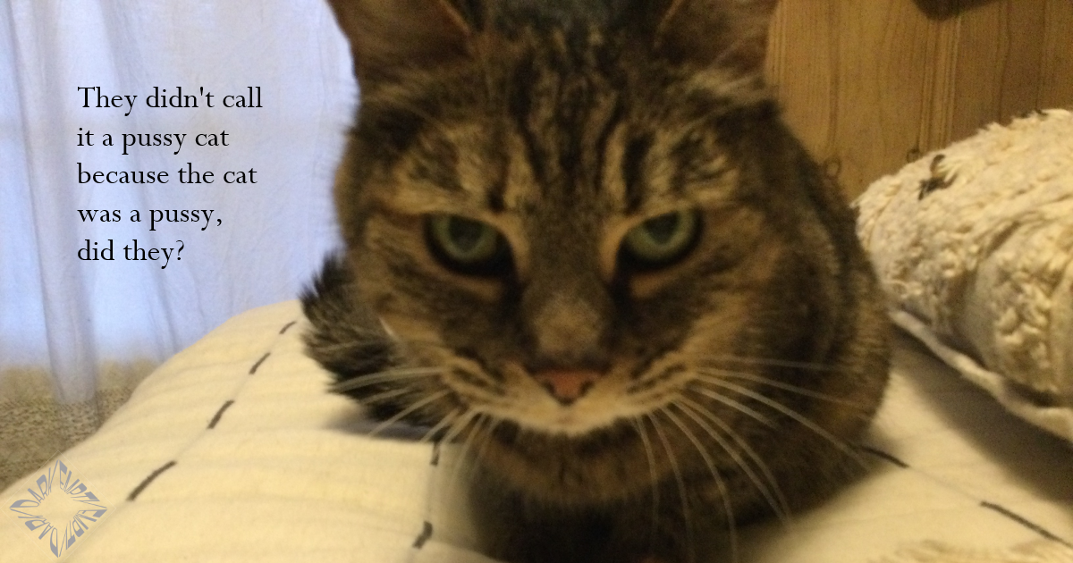 Pussy Cat